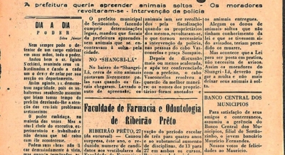 Edição 211