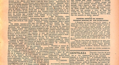 Edição 113