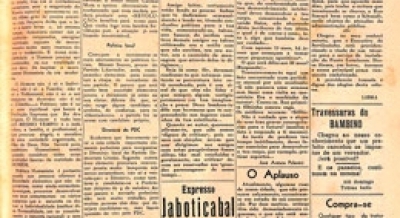 Edição 07