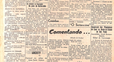 Edição 06