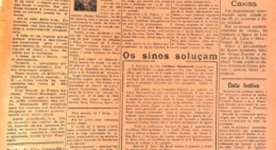 Edição 358