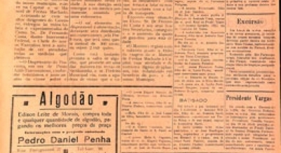 Edição 336