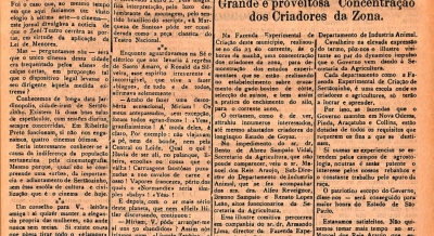 Edição 81