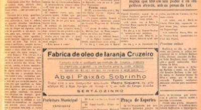Edição 278