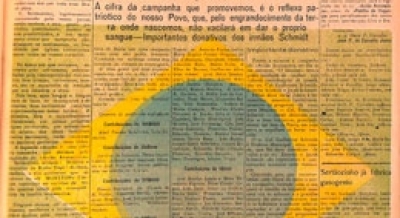 Edição 310