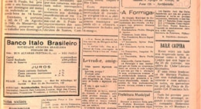 Edição 254