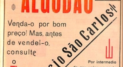 Edição 184