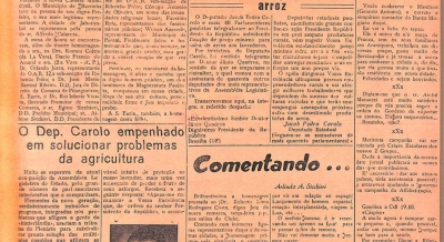 Edição 12