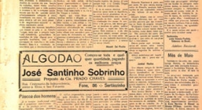Edição 392