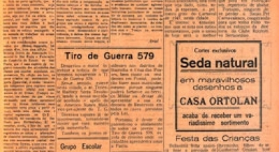 Edição 535