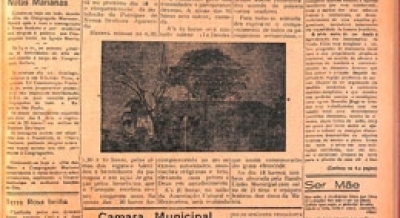 Edição 703