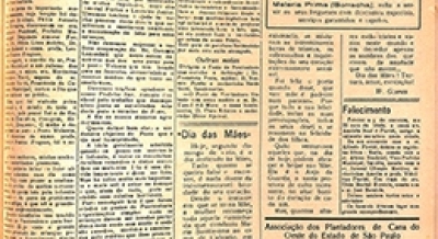 Edição 1156